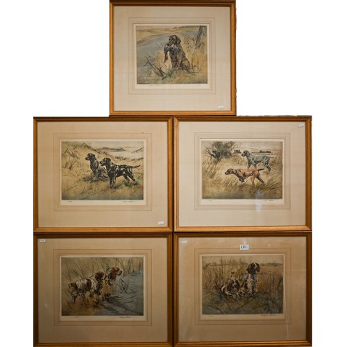 281 - After Henry Wilkinson - Five limited edition hand-coloured etchings, Spaniels, English Springers, Ch... 