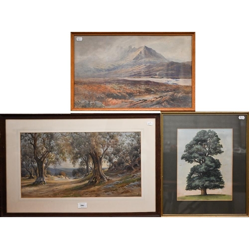 266 - Three watercolours - Adrian Hill, oak tree, 30.5 x 23 cm; Scottish mountain landscape, 30.5 x 49.5 c... 