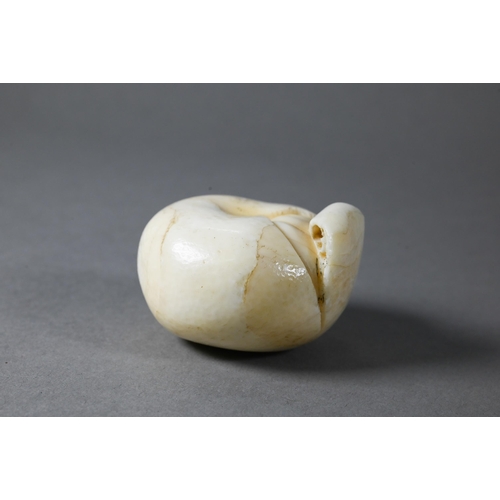 446 - A 19th century Japanese marine ivory okimono/netsuke naturalistically carved as a satsuma, Meiji per... 