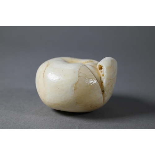 446 - A 19th century Japanese marine ivory okimono/netsuke naturalistically carved as a satsuma, Meiji per... 