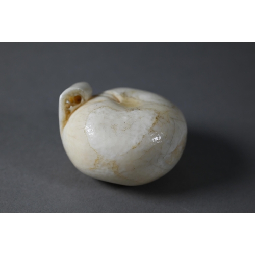 446 - A 19th century Japanese marine ivory okimono/netsuke naturalistically carved as a satsuma, Meiji per... 