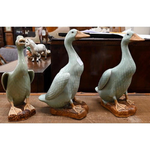 110 - Three Chinese celadon-glazed porcelain ducks, 26 cm max