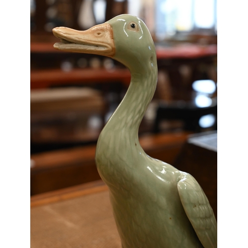 110 - Three Chinese celadon-glazed porcelain ducks, 26 cm max