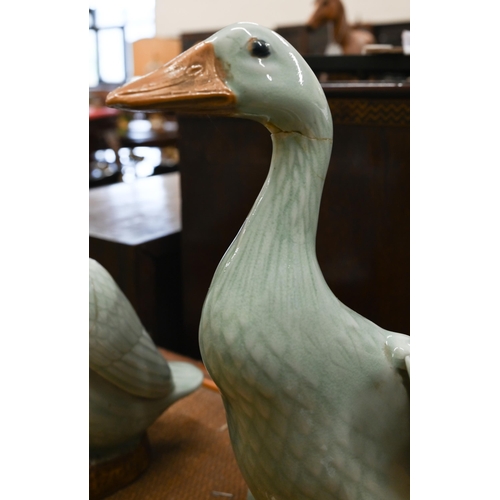 110 - Three Chinese celadon-glazed porcelain ducks, 26 cm max