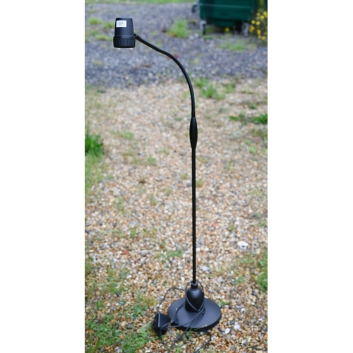 117 - An Ask Serious Reader's floor lamp