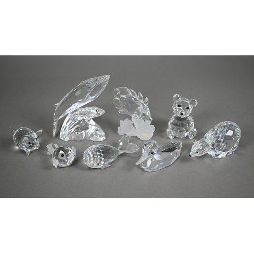 81 - C - Eight various unboxed Swarovski crystal glass animals (8)