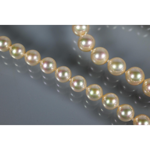 303 - Majorica - A uniform cultured pearl necklace double knotted throughout onto pierced bead-style snap ... 