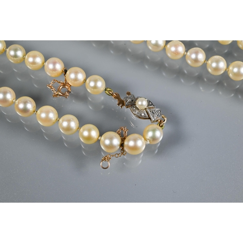 229 - A single row of uniform cultured pearls, knotted throughout onto pearl and marcasite clasp, yellow a... 