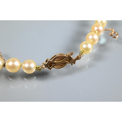 229 - A single row of uniform cultured pearls, knotted throughout onto pearl and marcasite clasp, yellow a... 