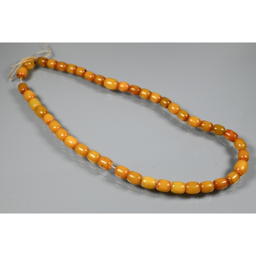 277 - Three rows of graduated amber beads including one cherry red, approx 183g (3)