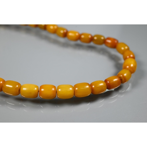 277 - Three rows of graduated amber beads including one cherry red, approx 183g (3)