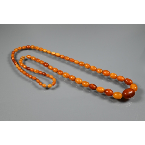 277 - Three rows of graduated amber beads including one cherry red, approx 183g (3)