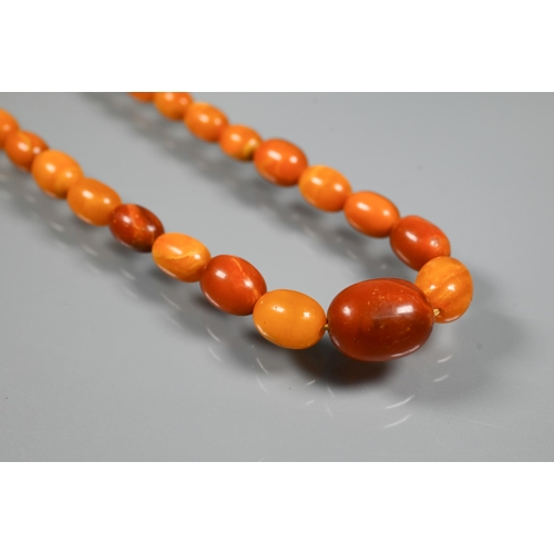 277 - Three rows of graduated amber beads including one cherry red, approx 183g (3)