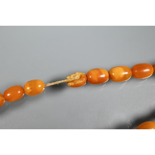 277 - Three rows of graduated amber beads including one cherry red, approx 183g (3)