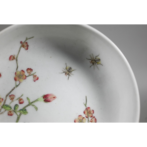 513 - A Chinese famille rose dish painted in polychrome enamels with two insects, blossoming peony and pru... 