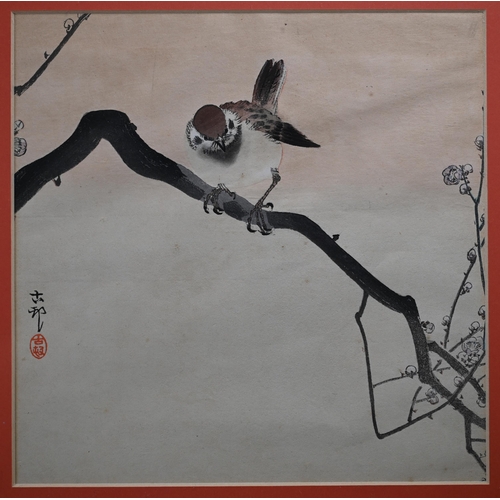 528 - A Koshimime woodblock print, moonlight through almond blossom, signed, inscribed on margin 'By Esuko... 