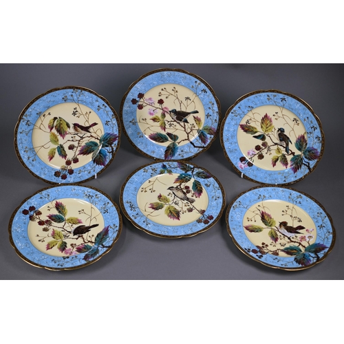 593 - A set of six 19th century Continental china cabinet plates, painted and gilded with hedge sparrows a... 