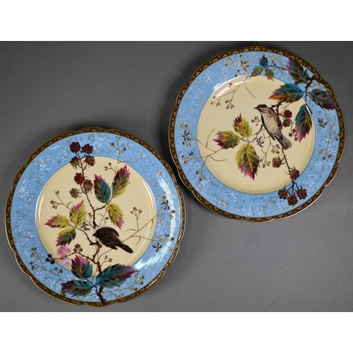 593 - A set of six 19th century Continental china cabinet plates, painted and gilded with hedge sparrows a... 