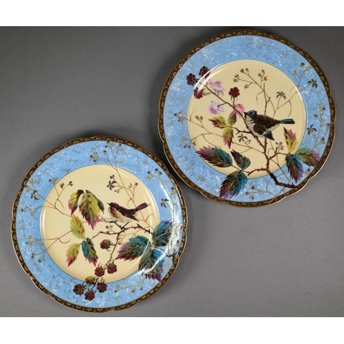 593 - A set of six 19th century Continental china cabinet plates, painted and gilded with hedge sparrows a... 