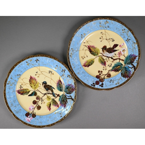 593 - A set of six 19th century Continental china cabinet plates, painted and gilded with hedge sparrows a... 