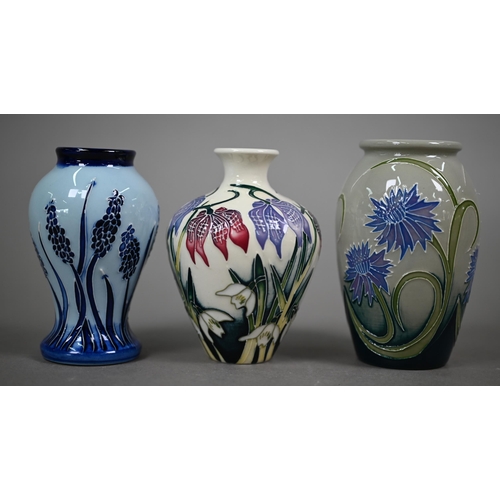 626 - Three boxed small Moorcroft vases, 'Alpine Meadow' 10 cm; 'Wild Cornflowers' 10 cm; and 'Muscari' 10... 