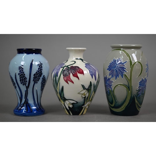 626 - Three boxed small Moorcroft vases, 'Alpine Meadow' 10 cm; 'Wild Cornflowers' 10 cm; and 'Muscari' 10... 