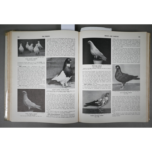 1028 - Wendell, Mitchell - The Pigeon, profusely illustrated, pub Colombia, S C 1941, inscribed dedicated b... 