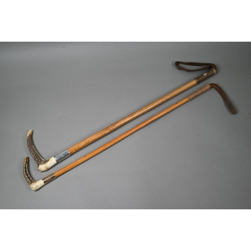 1144 - Two malacca riding crops with antler handles, one with 9ct gold band, Julius Klinkhardt, London 1912... 