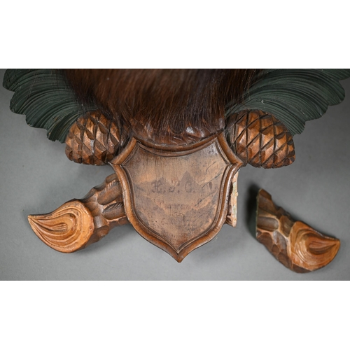 1230 - Taxidermy - a chamois head, on Black Forest carved wood shield