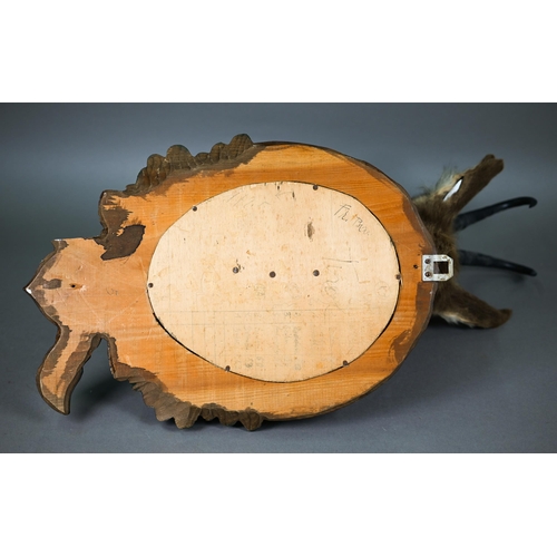 1230 - Taxidermy - a chamois head, on Black Forest carved wood shield