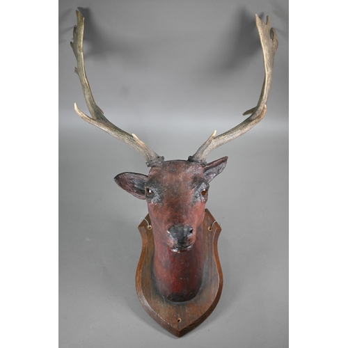 1231 - A composite fallow deer's head on shield, with real antlers