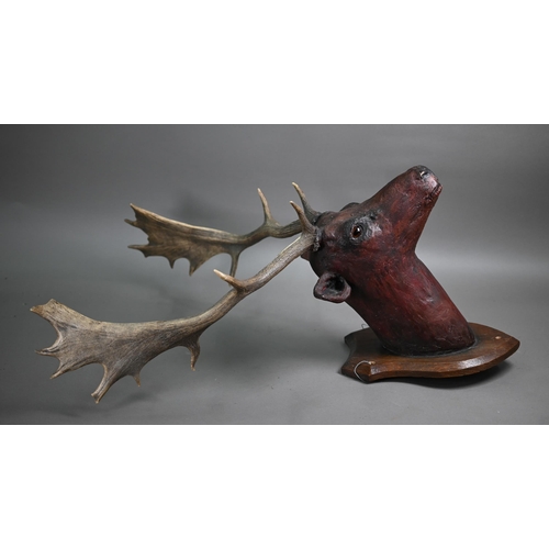 1231 - A composite fallow deer's head on shield, with real antlers