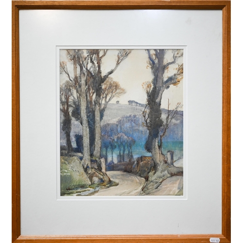 719 - S H Gardiner (1887-1952) - A woodland lane, watercolour, signed lower left, 35 x 29 cm