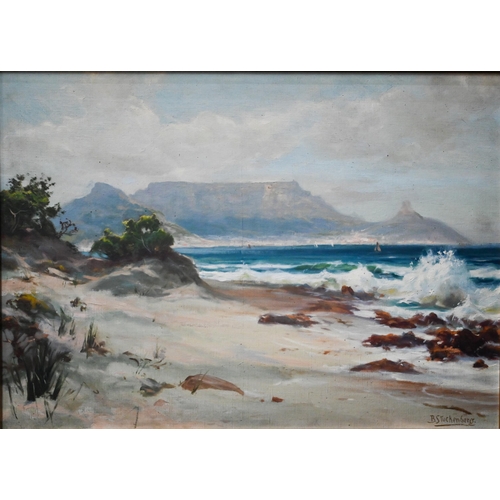 742 - Borge Fog Stuckenberg (1867-1942) - View of Cape Town, oil on canvas, signed, 44 x 62 cm