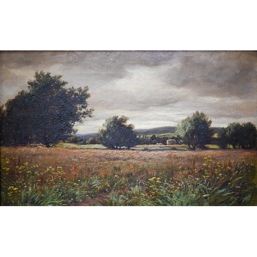 751A - Sydney M Broad - An English landscape, oil on canvas, signed, 24.5 x 40 cm