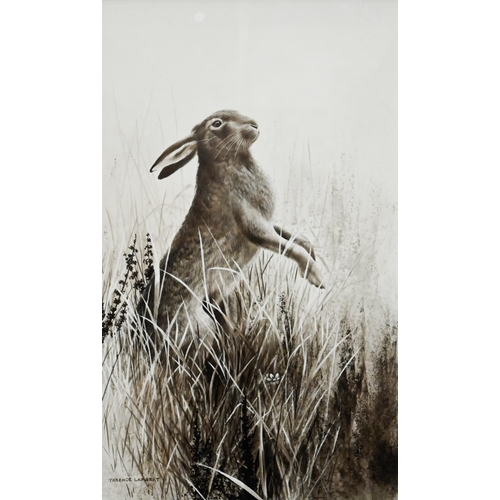 756 - Terence Lambert (1951) - Hare, mixed media, signed, 36.5 x 21 cm