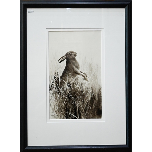 756 - Terence Lambert (1951) - Hare, mixed media, signed, 36.5 x 21 cm