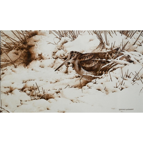 757 - Terence Lambert (b 1951) - Woodcock, mixed media, signed, 17 x 28 cm