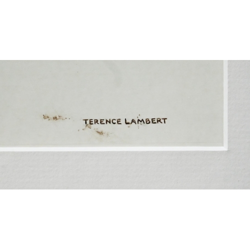 757 - Terence Lambert (b 1951) - Woodcock, mixed media, signed, 17 x 28 cm