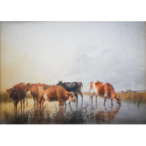 763 - T S Cooper (1803-1902) - Cattle drinking from a river, watercolour, signed and indistinctly signed, ... 