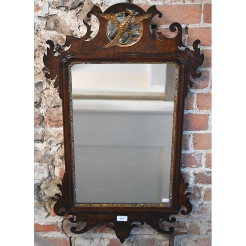 863 - A Georgian style mahogany and gilt framed fret cut mirror, surmounted by a ho-ho bird, 91 cm x 50 cm