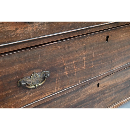 914 - A Georgian mahogany chest of two short over three long graduated drawers, with brass fittings, on sh... 