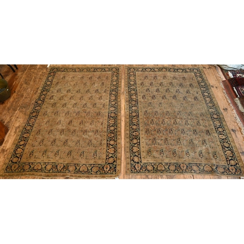 835 - A pair of decorative antique Persian rugs, the repeat design of boteh on brown-red ground within wid... 