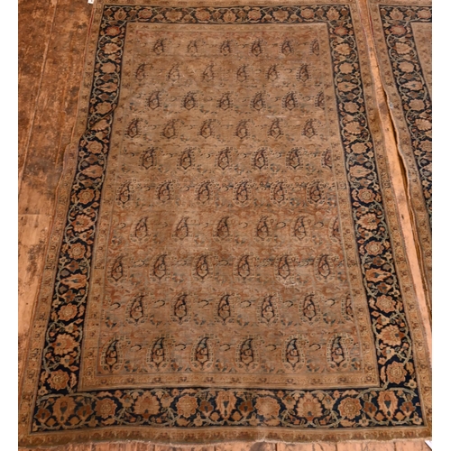 835 - A pair of decorative antique Persian rugs, the repeat design of boteh on brown-red ground within wid... 