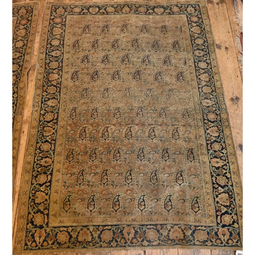 835 - A pair of decorative antique Persian rugs, the repeat design of boteh on brown-red ground within wid... 