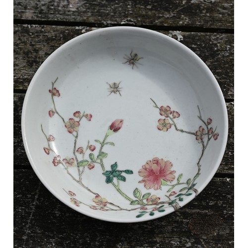 513 - A Chinese famille rose dish painted in polychrome enamels with two insects, blossoming peony and pru... 