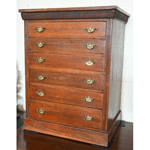 341 - An Edwardian collector's chest with six graduated drawers, 50 cm wide x 40 cm deep x 65 cm high