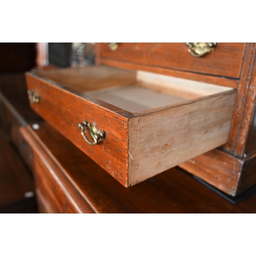 341 - An Edwardian collector's chest with six graduated drawers, 50 cm wide x 40 cm deep x 65 cm high