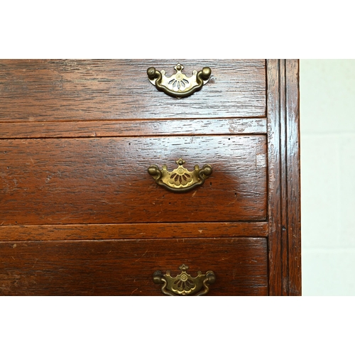 341 - An Edwardian collector's chest with six graduated drawers, 50 cm wide x 40 cm deep x 65 cm high