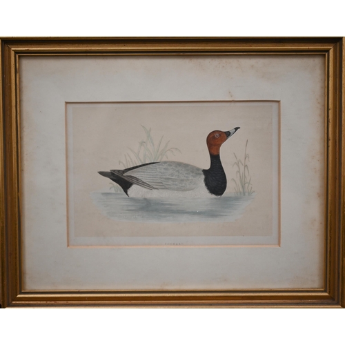 319 - Two sets of 'goose' engravings (5 and 3), 11.5 x 17 cm the smallest (8)